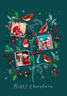 Robins on a Tree 3 Photo Christmas Card