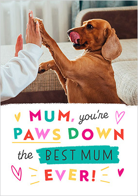 Paws Down The Best Mum Ever Mother's Day Photo Card