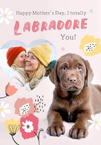 Tap to view Rachael Hale Labradore You Mother's Day Photo Card