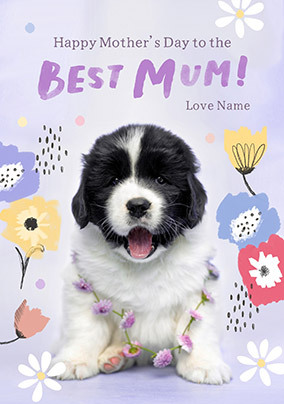 Rachael Hale Best Mum Mother's Day Card