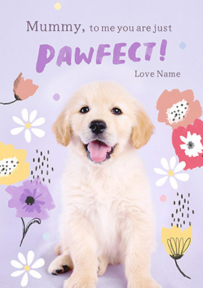 Rachael Hale Pawfect Mummy Mother's Day Card