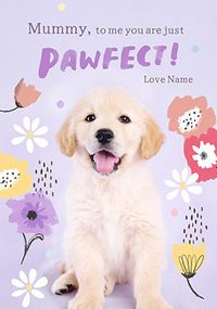 Tap to view Rachael Hale Pawfect Mummy Mother's Day Card