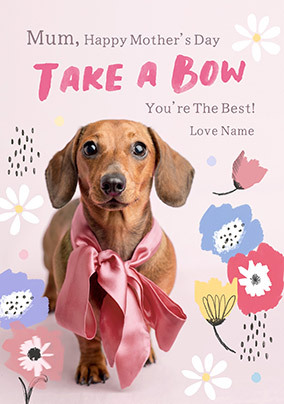 Rachael Hale Take a Bow Mum Mother's Day Card