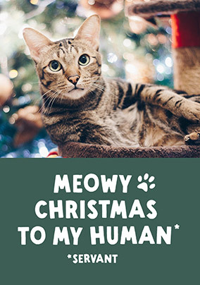 Meowy Christmas Photo Card