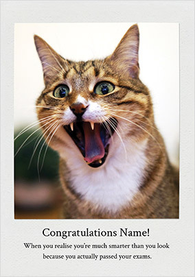 Happy Cat Personalised Exam Congratulations Card