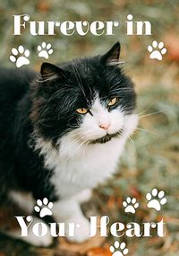 Tap to view Furever in Your Heart Loss of Cat Sympathy Card