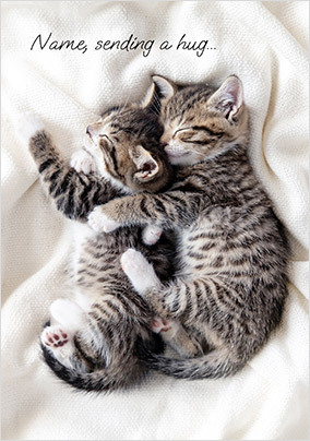 Sending a Hug Kittens Card