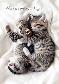 Tap to view Sending a Hug Kittens Card