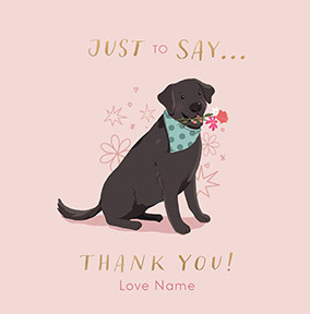 Labrador Dog Square Thank You Card