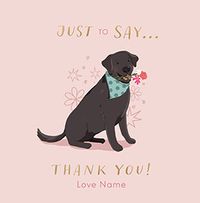 Tap to view Labrador Dog Square Thank You Card