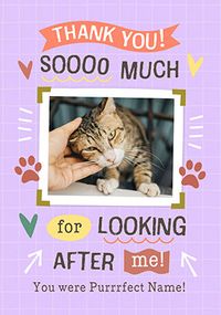 Tap to view Thank You For Looking After Me Photo Card From The Cat