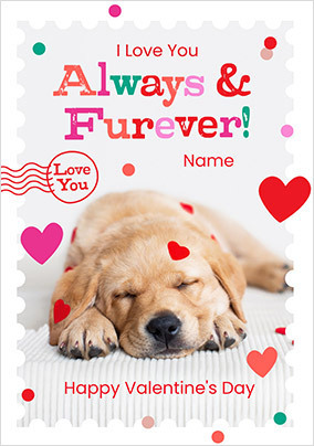 Rachael Hale Always & furever Valentine's Day Card