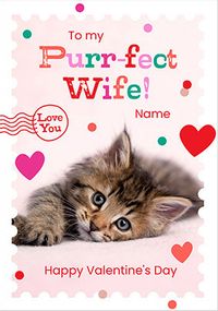 Tap to view Rachael Hale Purrfect Wife Valentine's Day Card