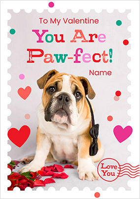 Rachael Hale You Are Pawfect Valentine's Day Card