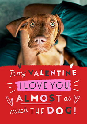 Love you almost as much as the Dog Valentine's Day Card