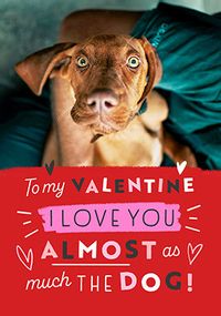 Tap to view Love you almost as much as the Dog Valentine's Day Card