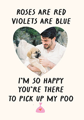 From The Dog Pick Up My Poo Valentine's Day Photo Card