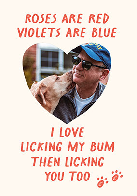 From The Dog I love Licking You Valentine's Day Photo Card