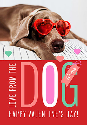 Happy Valentine's Day from the Dog Valentine's Day Card