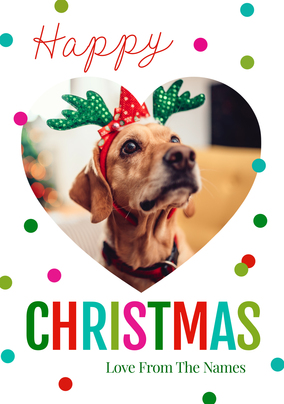 Polkadot Christmas From the Family Photo Card