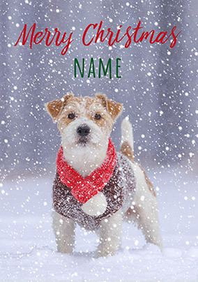 Dog in the Snow Personalised Christmas Card