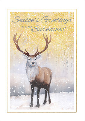 Season's Greetings from the Family Reindeer Card