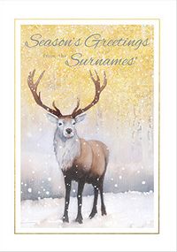 Tap to view Season's Greetings from the Family Reindeer Card