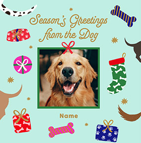 Season's Greetings from the Dog Square Photo Card