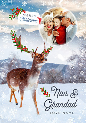 Nan and Grandad Reindeer Photo Christmas Card