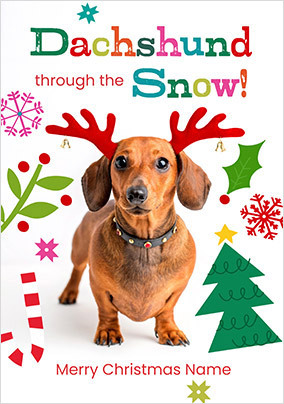 Rachael Hale Dachshund Through The Snow Christmas Card