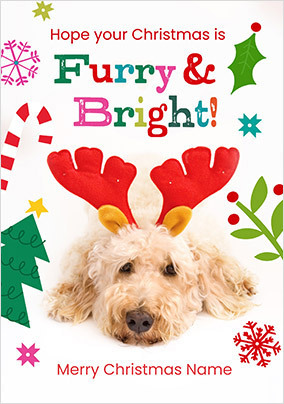 Rachael Hale Furry And Bright Christmas Card