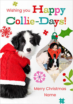 Rachael Hale Happy Collie-Days Christmas Photo Card