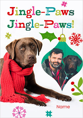 Rachael Hale Jingle-Paws Christmas Photo Card