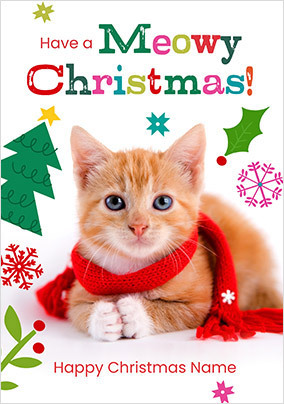 Rachael Hale Meowy Christmas Card