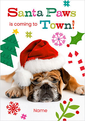 Rachael Hale Santa Paws Christmas Card