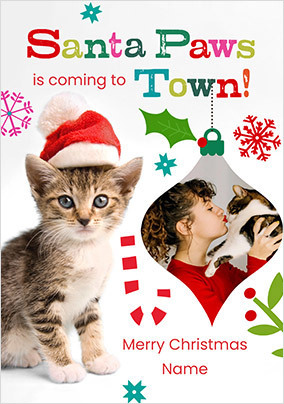 Rachael Hale Kitten Santa Paws Christmas Photo Card