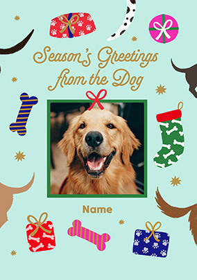 Season's Greetings from the Dog Photo Card