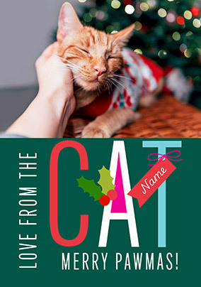 Merry Pawmas from the Cat Photo Christmas Card