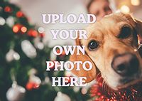 Tap to view Full Landscape Photo Christmas Card