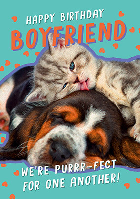 Purrfect Boyfriend Birthday Card