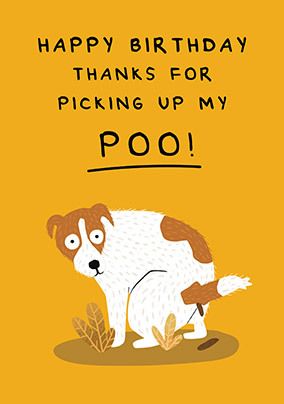 Dog Birthday Cards - From the Dog & More | Funky Pigeon