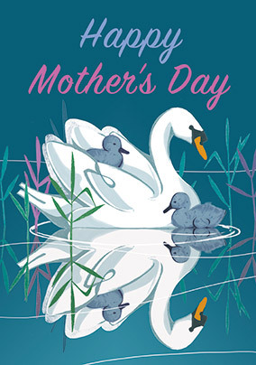 Swans Mothers Day Card