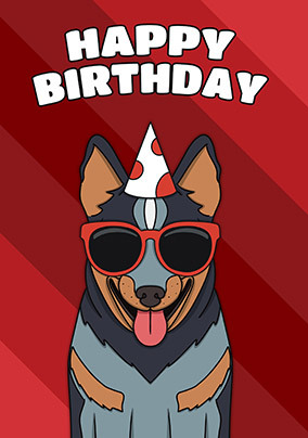 Blue Heeler Birthday Card