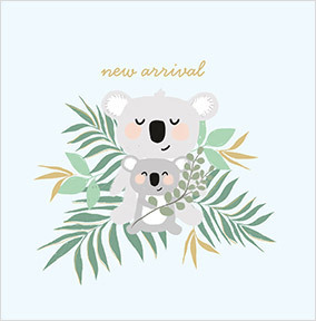 Koala New Arrival Card