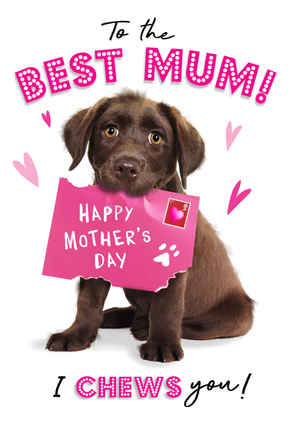 Best Mum I Chews You Mother's Day Card