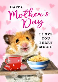 Tap to view Love you Furry Much Mother's Day Card