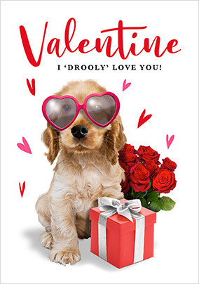 Drooly Love You Valentine's Day Card