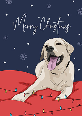 Labrador Christmas Card