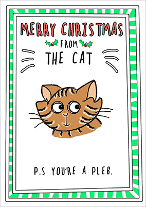 From the Cat Christmas Card