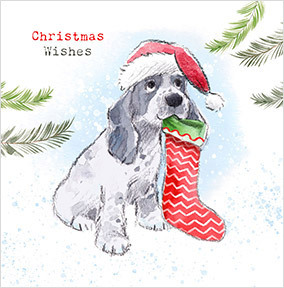 Dog and Stocking Christmas Card